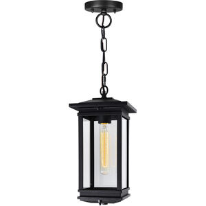 Oakwood 1 Light 6.9 inch Black Outdoor Hanging Light