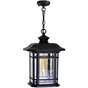 Blackburn 1 Light 9 inch Black Outdoor Hanging Light