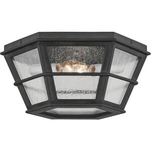 Lake County 2 Light 14 inch French Iron Flush Mount Ceiling Light