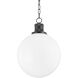 Beverly 1 Light 14.00 inch Pendant