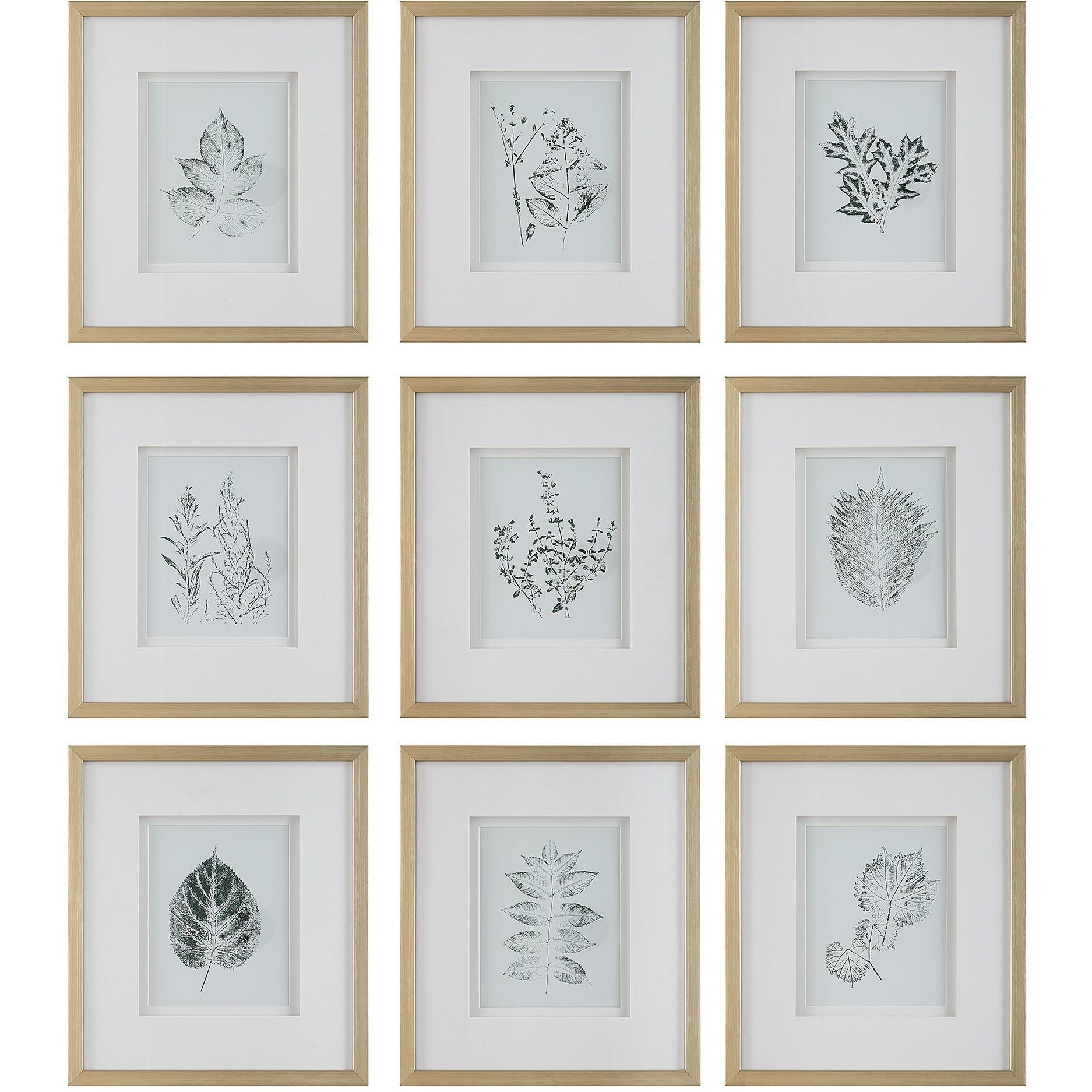 Nature's Script 17.25 X 15.25 inch Framed Botanical Prints, Set of 9
