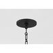Delia 4 Light 17 inch Aged Iron Hanging Lantern Ceiling Light