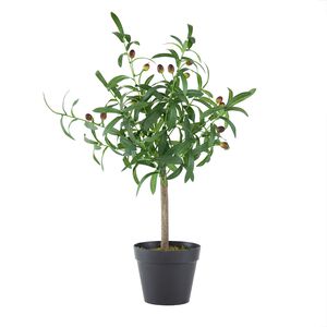 Olive Tree Green and Black Faux Plant