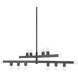 Sutter 14 Light 40.75 inch Graphite Chandelier Ceiling Light