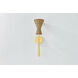 Honey 1 Light 5.5 inch Aged Brass Wall Sconce Wall Light