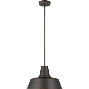 Sean Lavin Barn Light 1 Light 14.00 inch Outdoor Pendant/Chandelier