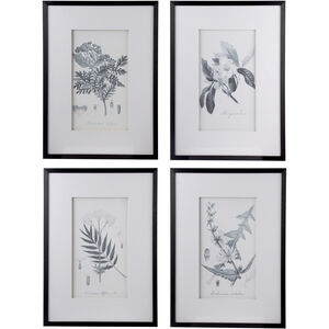 Botanical Black and White Wall Art, Set of 4