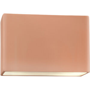 Ambiance Collection LED 10 inch Gloss Blush Outdoor Wall Sconce