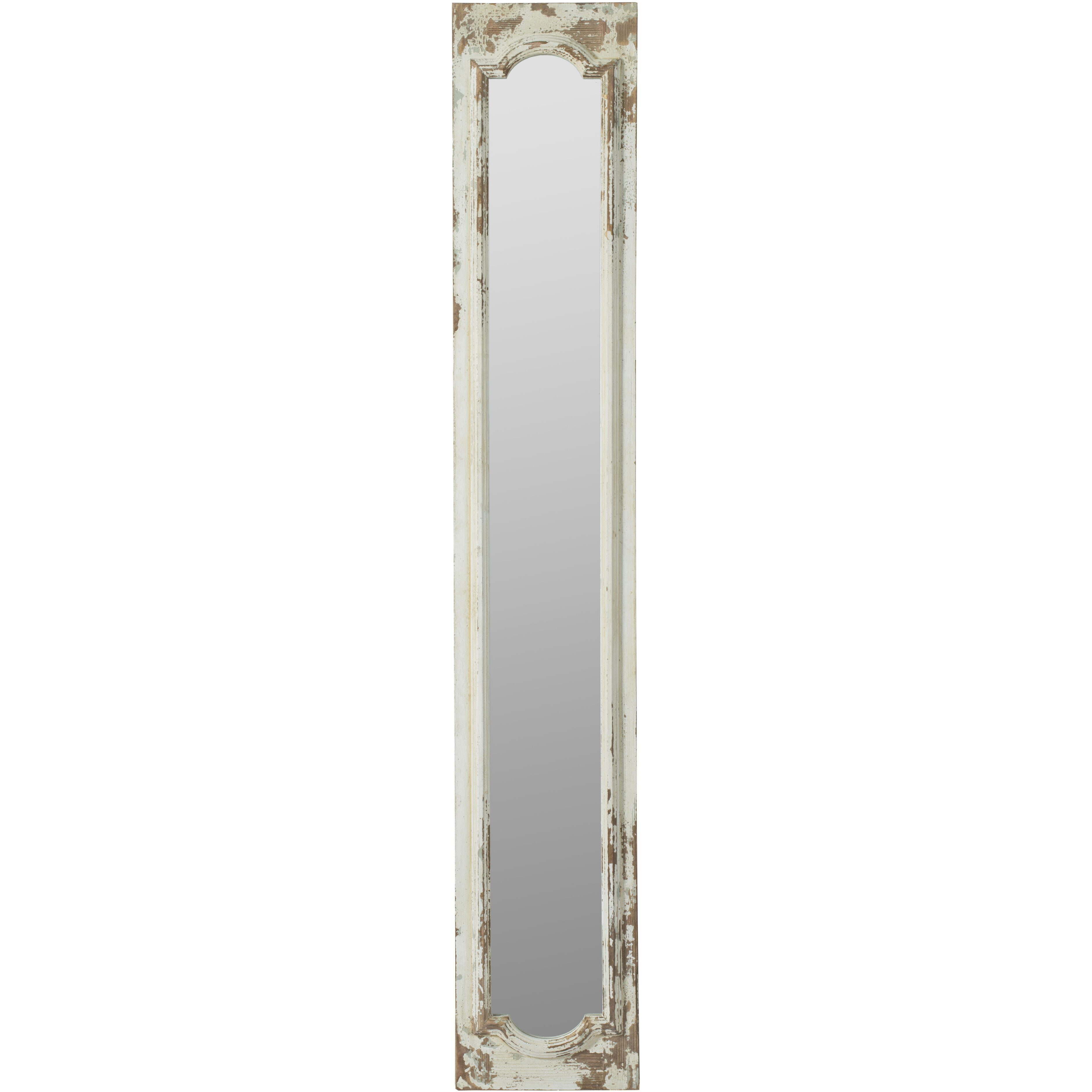 Anita 69.3 X 11.8 inch Clear Floor Mirror