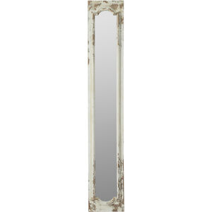 Anita 69.3 X 11.8 inch Clear Floor Mirror