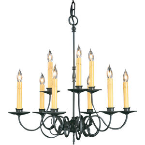 Black Forest 9 Light 26 inch Charcoal Dining Chandelier Ceiling Light