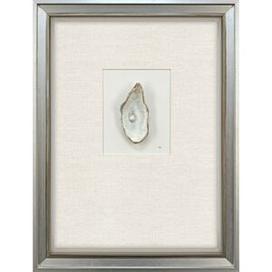 Oyster in Paradise Beige and Blue and Neutral and Turquoise Framed Art