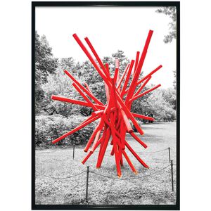 Botanical Gardens I Gloss Black Framed Wall Art
