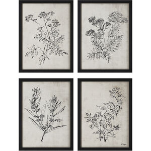 Basset White/Black Canvas Art, 4 Piece