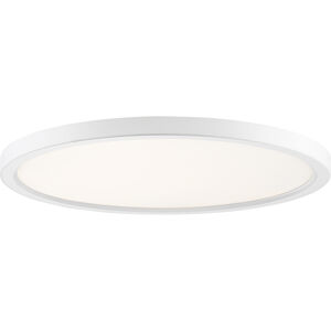Outskirts 1 Light 20.00 inch Flush Mount