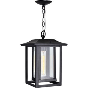 Winfield 1 Light 8.8 inch Black Outdoor Hanging Light