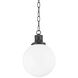 Beverly 1 Light 10.00 inch Pendant