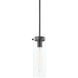 Haisley 1 Light 4.00 inch Pendant
