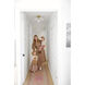 Maisie 1 Light 16 inch Aged Brass Pendant Ceiling Light