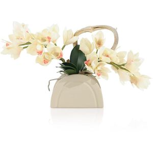 Cymbidiums Tan Botanical, Botanical/Floral