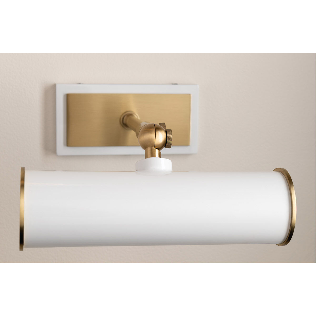 Holly 25 watt 8 inch Aged Brass and White Picture Light Wall Light in White Steel