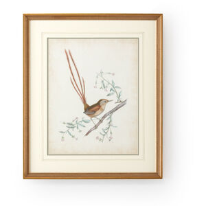 Chelsea House 26 X 22 inch Print