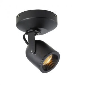 Spot 808 1 Light 4.50 inch Spot Light