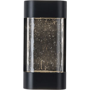 Moondew LED 12 inch Black Exterior Wall Sconce