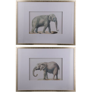 Framed Silver Wall Art, Set of 2
