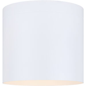 Agna 1 Light 7.88 inch Flush Mount