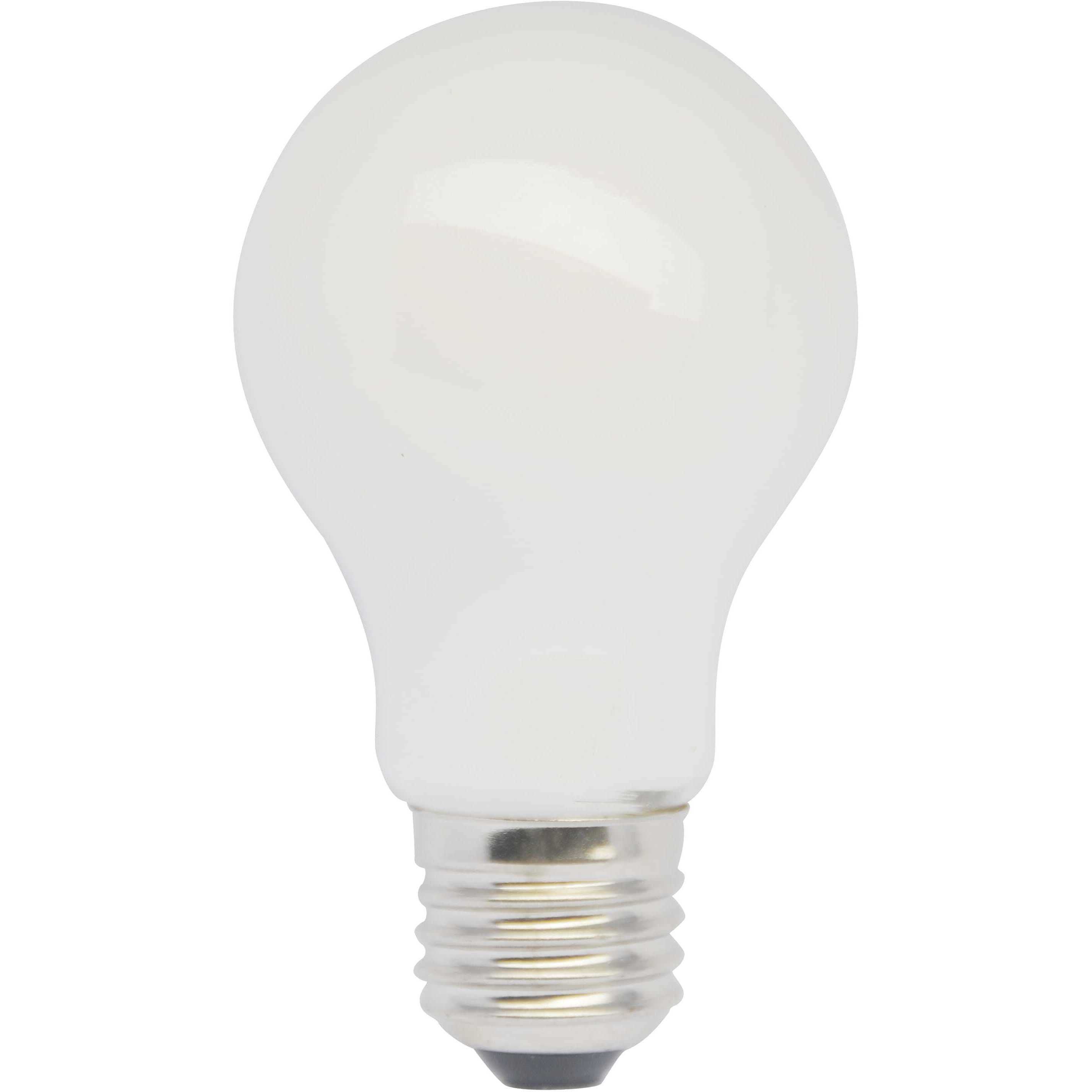 Anthony A19 E26 10.00 watt 120 3000K LED Light Bulb, Pack of 6
