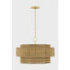 Danica 4 Light 24 inch Aged Brass Pendant Ceiling Light