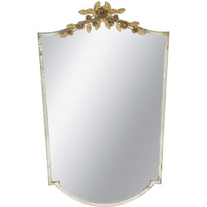 Anita 37.4 X 24 inch Distressed Ivory/Gold Wall Mirror