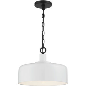 Farmhouse 1 Light 14.00 inch Pendant
