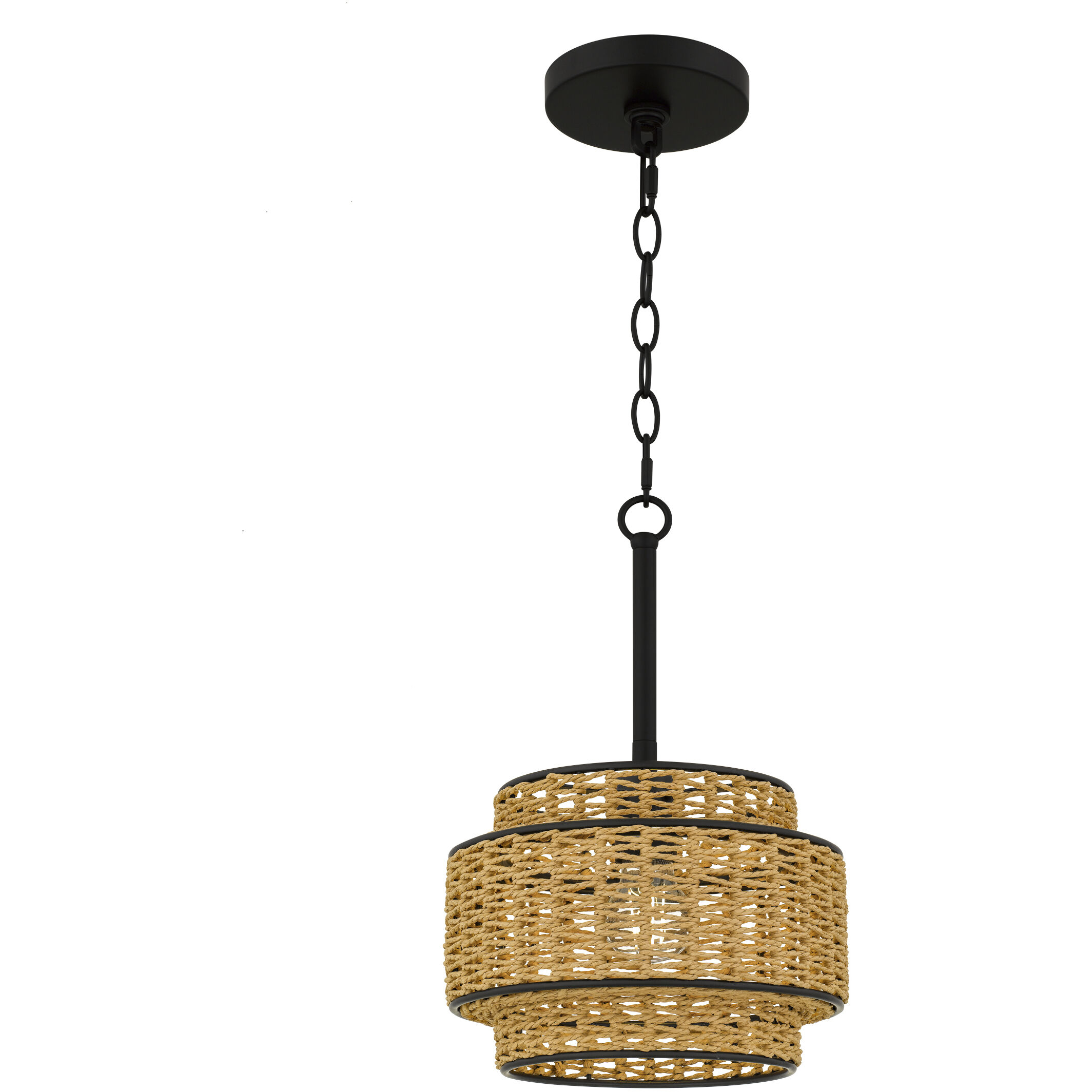 Teton 1 Light 10 inch Matte Black Mini Pendant Ceiling Light
