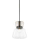 Elodie 1 Light 10.00 inch Pendant