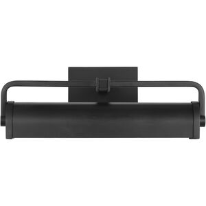 Leonard 25 watt 12.88 inch Aged Iron Picture Light Wall Light