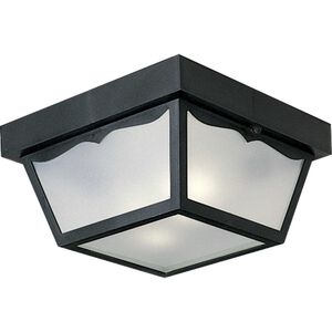 Ceiling Mount 2 Light 10.25 inch Outdoor Ceiling Light
