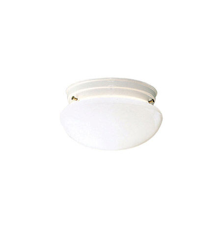 Ceiling Space 2 Light 8.75 inch Flush Mount
