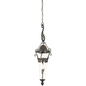 Anastasia Outdoor 2 Light 11.75 inch Foyer Pendant