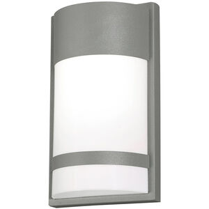 Paxton 1 Light 7.01 inch Outdoor Wall Light