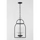 Delia 3 Light 12.25 inch Aged Iron Hanging Lantern Ceiling Light