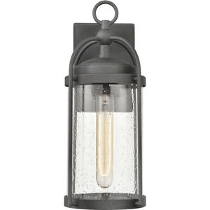 Catalonia 1 Light 13.5 inch Distressed Zinc Outdoor Wall Sconce