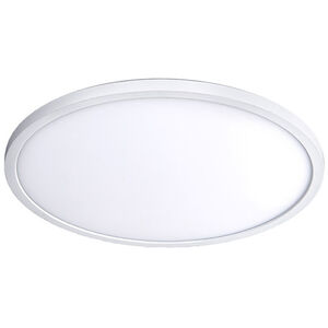 Round 1 Light 11.00 inch Flush Mount