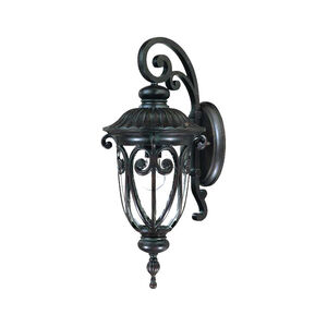 Naples 1 Light 9.38 inch Outdoor Wall Light