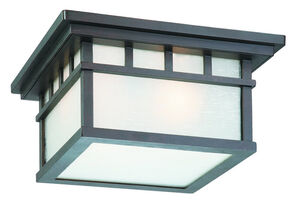 Barton 2 Light 12.00 inch Outdoor Ceiling Light