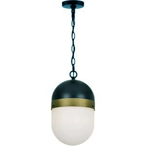 Capsule 1 Light 8 inch Matte Black/Textured Gold Outdoor Pendant