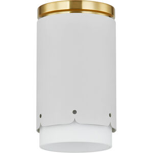 Asa 1 Light 4.75 inch Flush Mount