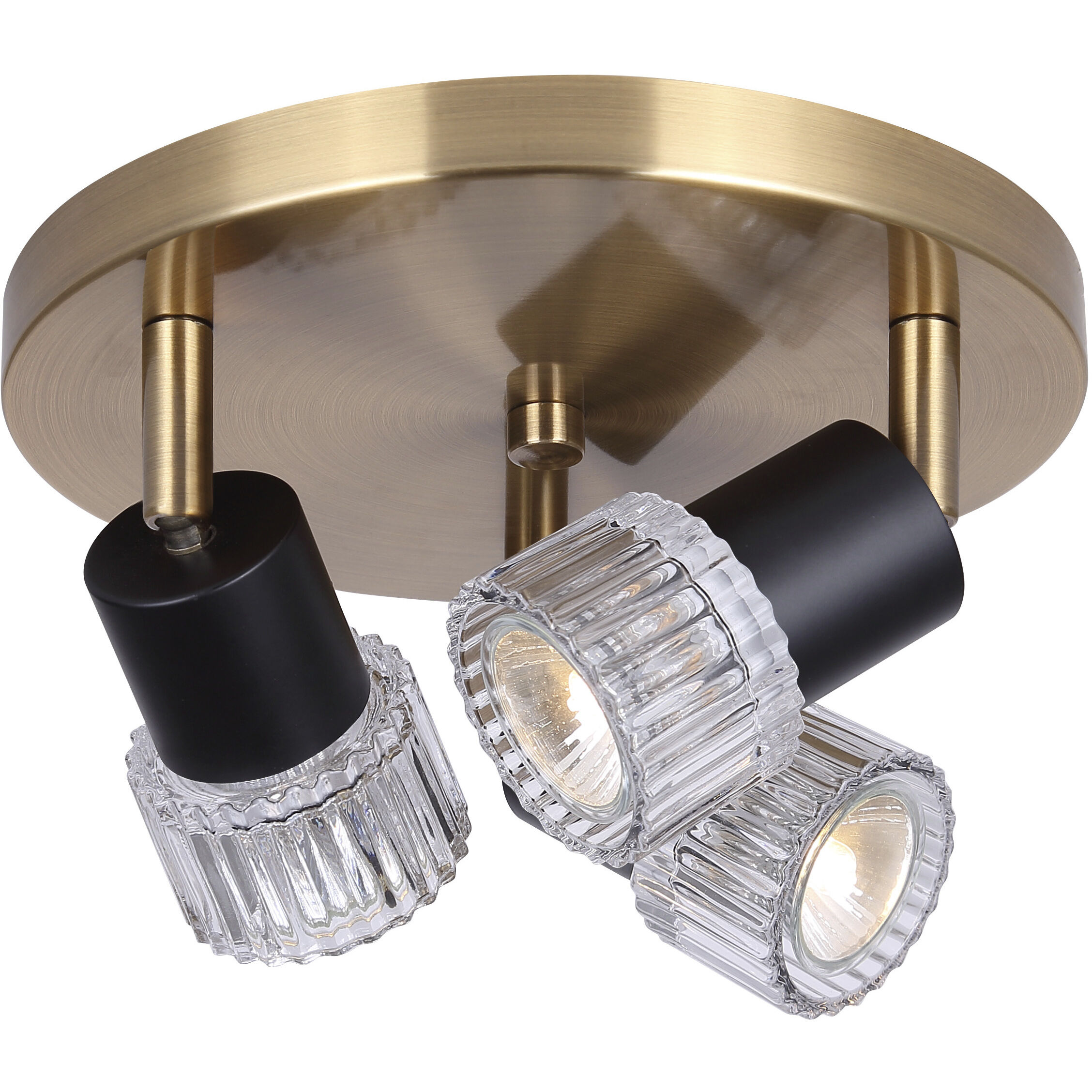 Elsee 3 Light Black/Gold Track Lighting Ceiling Light