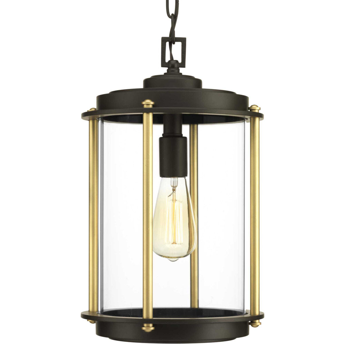 Laine 1 Light 9.75 inch Architectural Bronze Outdoor Hanging Lantern